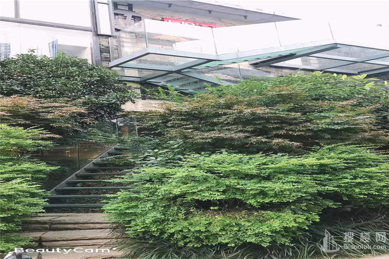 丰盛商汇面积331平