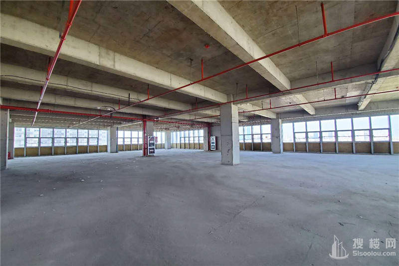 金陵建工面积286平