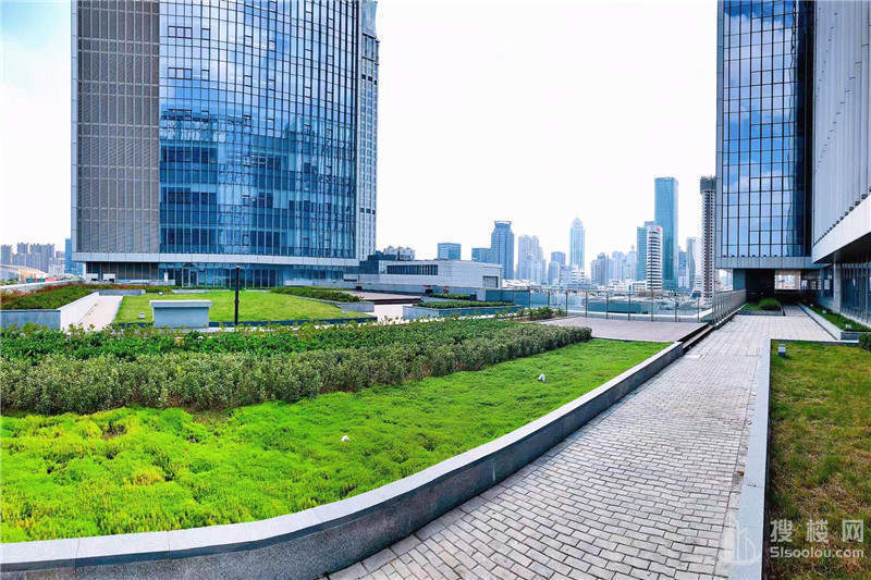 金陵建工面积286平