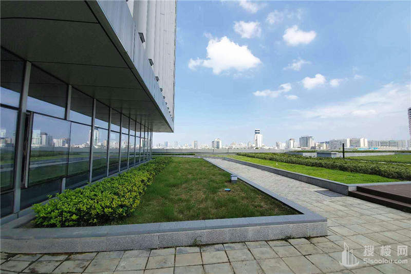 金陵建工面积446平