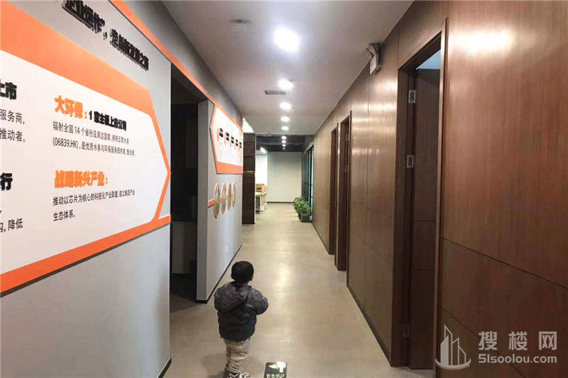 绿地之窗面积555平